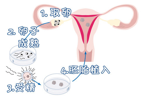 赵主任
